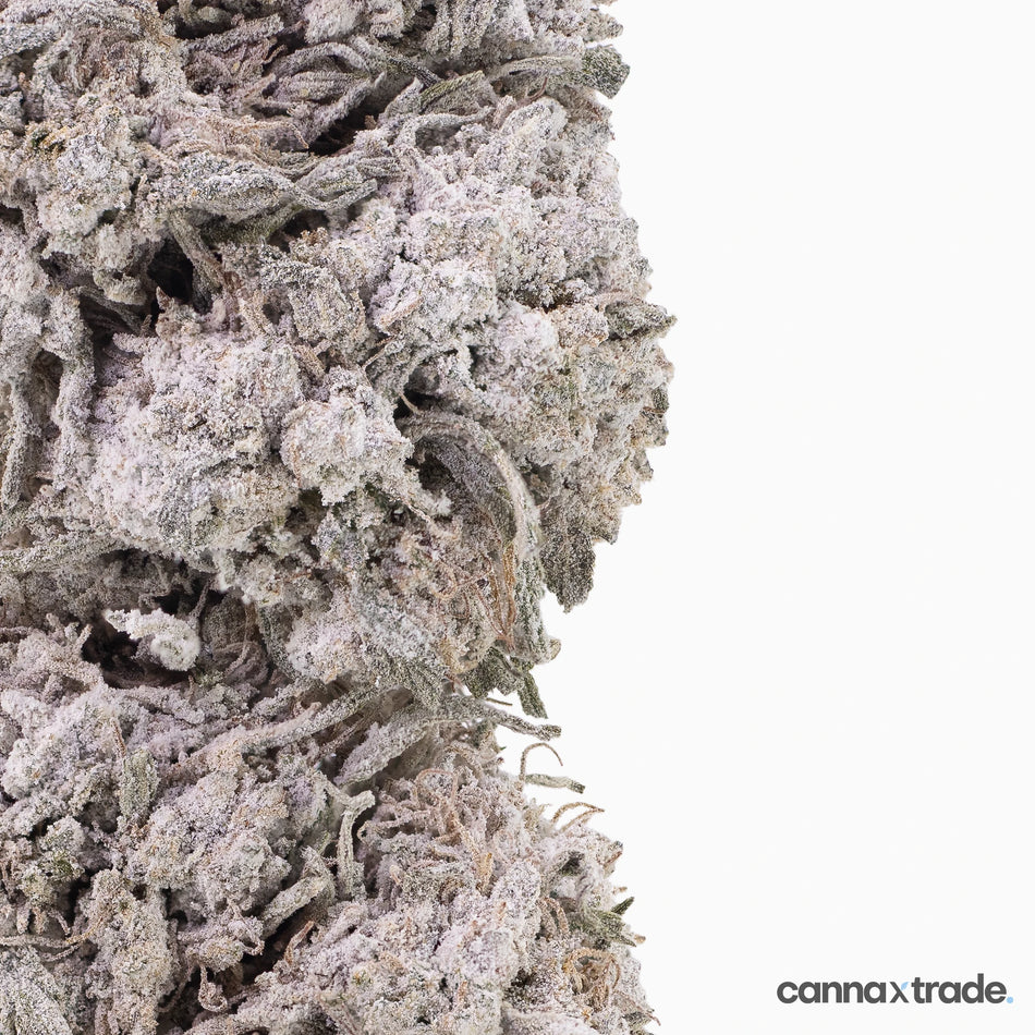 Flower | 'Diesel 25' | THCA | Coated | 100g Sample