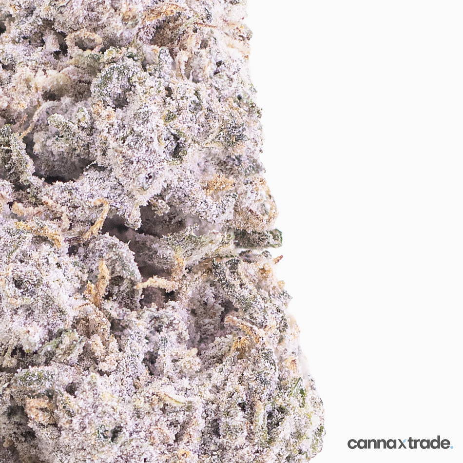 Flower | 'Durban Poison 23' | THCA | Coated | 100g Sample