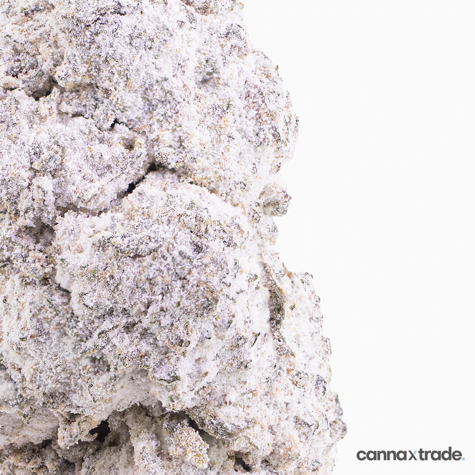 Flower | 'Fruit Cake 23' | THCA | Coated | 100g Sample