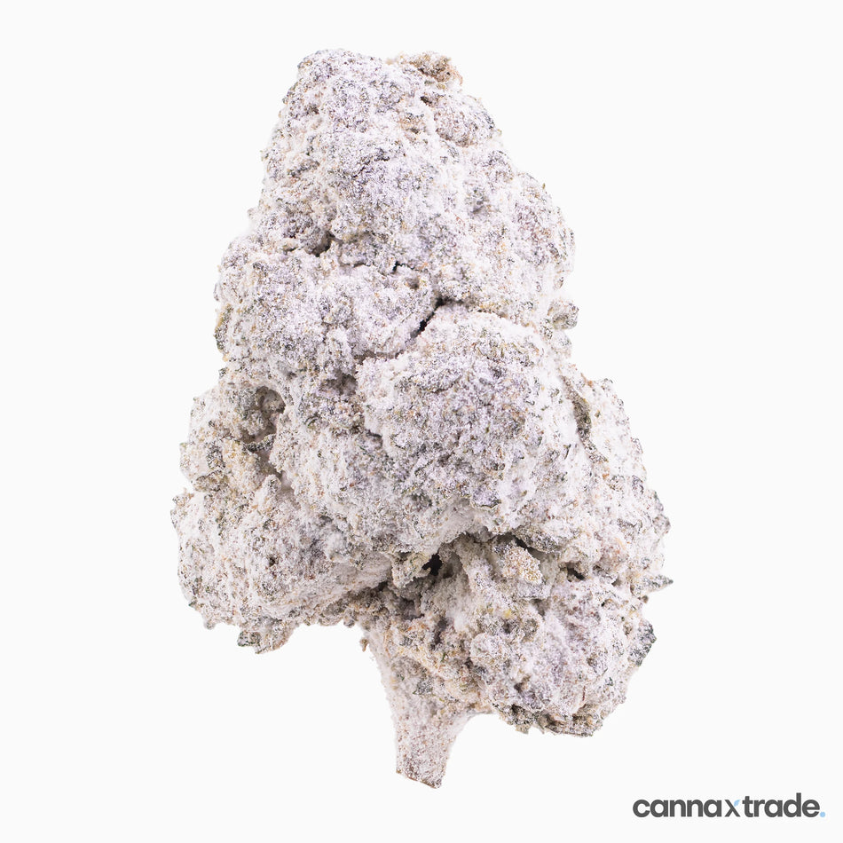 Flower | 'Fruit Cake 23' | THCA | Coated | 100g Sample