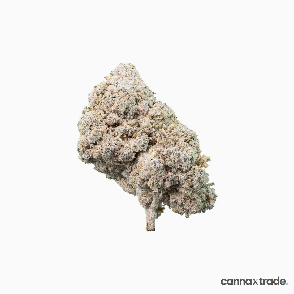 Flower | 'Gelato 25' | THCA | Coated | 3g Sample