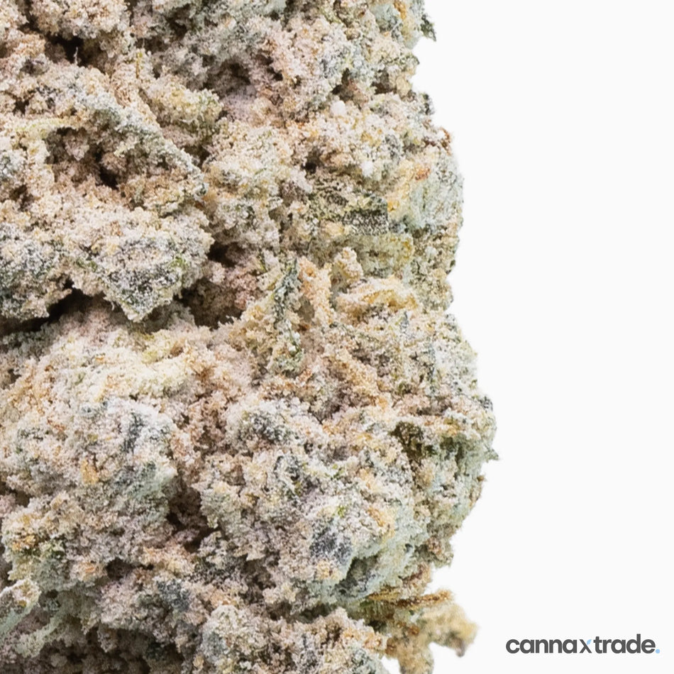 Flower | 'Gelato 25' | THCA | Coated | 3g Sample