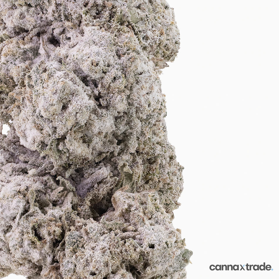 Flower | 'Ice Indoor 24' | THCA | Coated | 100g Sample