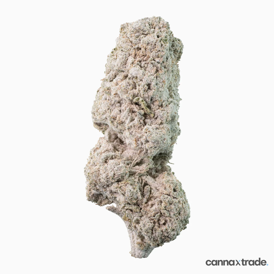 Flower | 'Lemoncello 27' | THCA | Coated | 3g Sample