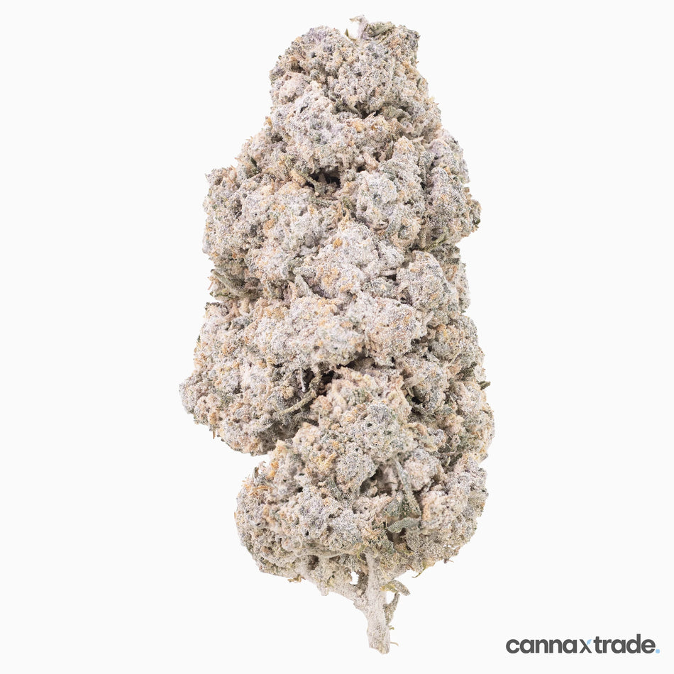 Flower | 'Manderine 25' | THCA | Coated | 100g Sample
