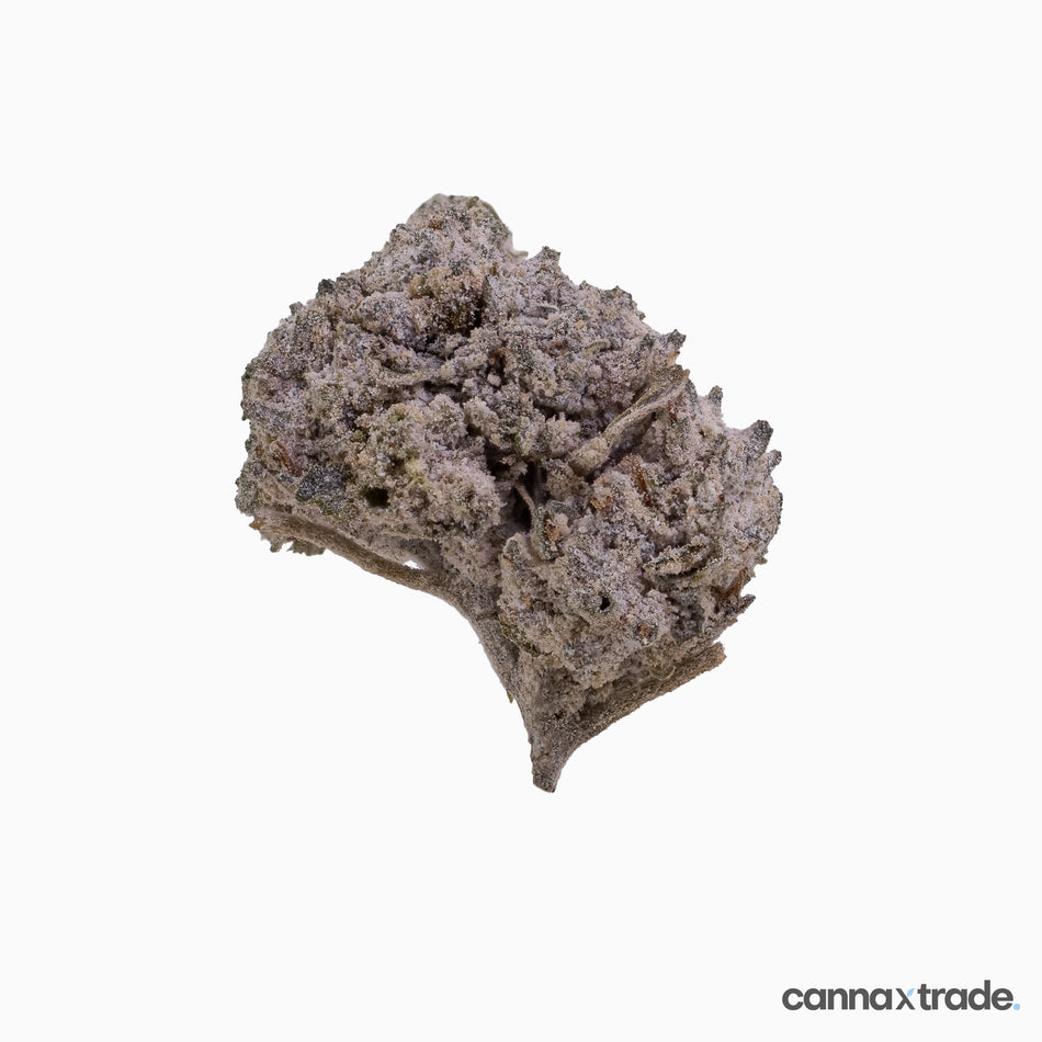 Flower | 'OG Kush 22 Small' | THCA | Coated | 100g Sample