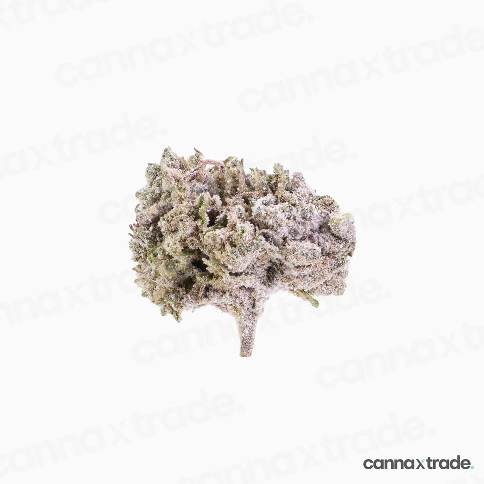 Flower | 'Orange Small 22' | THCA | Coated | 100g Sample