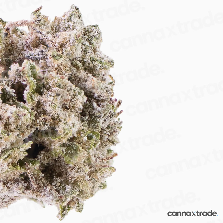 Flower | 'Orange Small 22' | THCA | Coated | 100g Sample