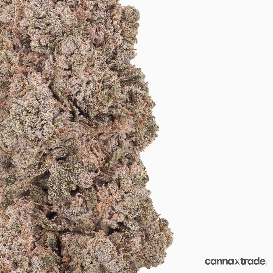 Flower | 'Orange Indoor 23' | THCA | Coated | 100g Sample