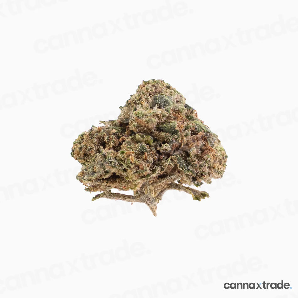 Flower | 'Orange Small Buds' | CBD | 100g Sample