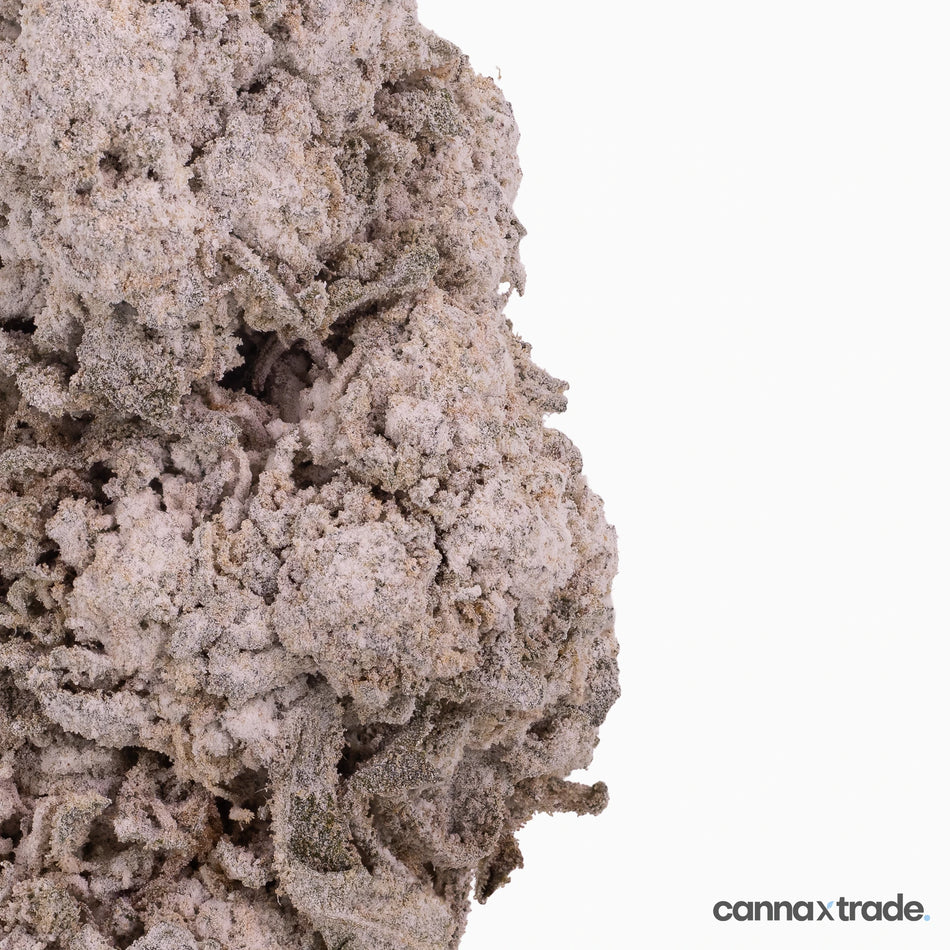 Flower | 'Raspberry Indoor 25' | THCA | Coated | 100g Sample