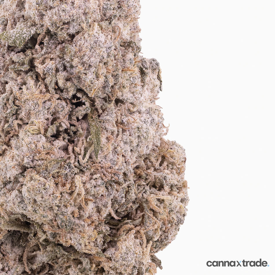 Flower | 'Zkittles Indoor 24' | THCA | Coated | 100g Sample