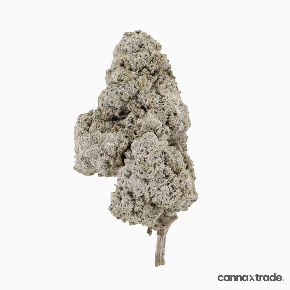 Flower | 'Panther O.G. 23' | THCA | Coated | 100g Sample