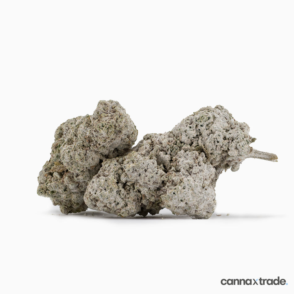 Flower | 'Panther O.G. 23' | THCA | Coated | 100g Sample