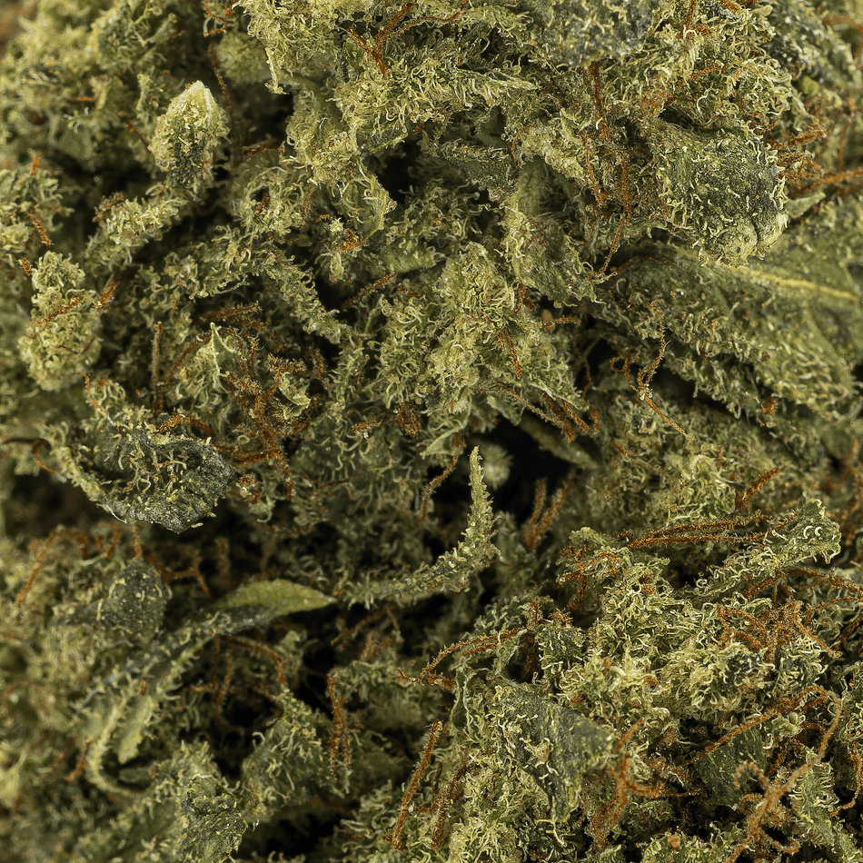 Flower | 'Amnesia 23' | THCA | Infused | 100g Sample